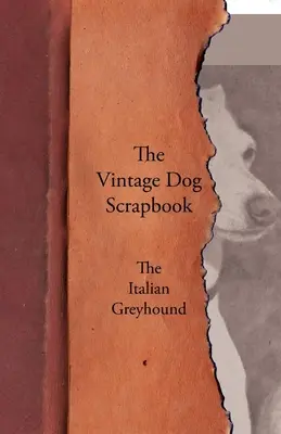 The Vintage Dog Scrapbook - Chart włoski - The Vintage Dog Scrapbook - The Italian Greyhound