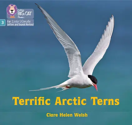 Rybitwy Arktyczne - Faza 3 Zestaw 2 - Terrific Arctic Terns - Phase 3 Set 2