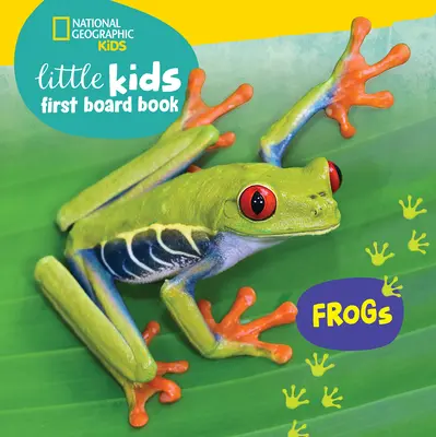 Pierwsza książka planszowa dla małych dzieci: Żaby - Little Kids First Board Book: Frogs