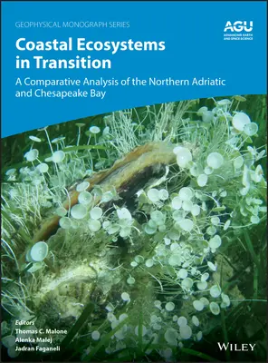 Ekosystemy przybrzeżne w okresie przejściowym: Analiza porównawcza północnego Adriatyku i zatoki Chesapeake - Coastal Ecosystems in Transition: A Comparative Analysis of the Northern Adriatic and Chesapeake Bay