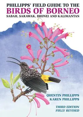 Przewodnik terenowy Phillippsa po ptakach Borneo: Sabah, Sarawak, Brunei i Kalimantan - w pełni poprawione wydanie trzecie - Phillipps' Field Guide to the Birds of Borneo: Sabah, Sarawak, Brunei, and Kalimantan - Fully Revised Third Edition