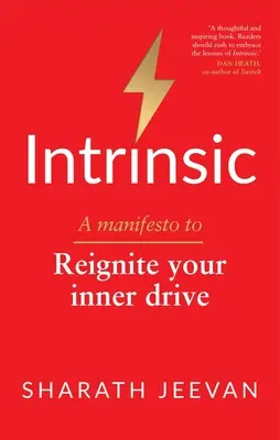 Intrinsic: A Manifesto to Reignite Your Inner Drive