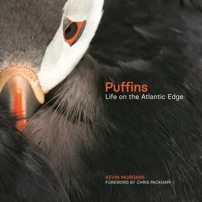 Puffins: Życie na krawędzi Atlantyku - Puffins: Life on the Atlantic Edge