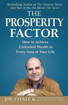 The Prosperity Factor: Jak osiągnąć nieograniczone bogactwo w każdej dziedzinie życia? - The Prosperity Factor: How to Achieve Unlimited Wealth in Every Area of Your Life