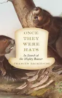 Kiedyś to były kapelusze: w poszukiwaniu potężnego bobra - Once They Were Hats: In Search of the Mighty Beaver