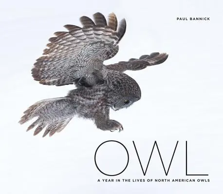 Sowa: Rok z życia północnoamerykańskich sów - Owl: A Year in the Lives of North American Owls