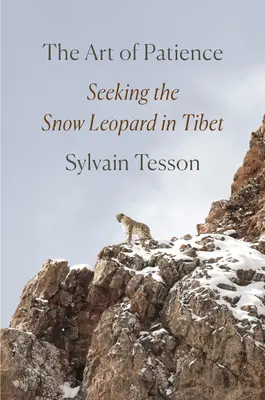 Sztuka cierpliwości: Poszukiwanie śnieżnej pantery w Tybecie - The Art of Patience: Seeking the Snow Leopard in Tibet