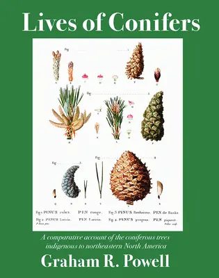 Życie drzew iglastych: Porównawczy opis drzew iglastych występujących w północno-wschodniej Ameryce Północnej - Lives of Conifers: A Comparative Account of the Coniferous Trees Indigenous to Northeastern North America