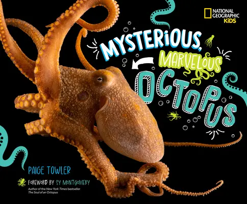 Tajemnicza, cudowna ośmiornica! - Mysterious, Marvelous Octopus!