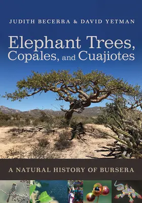 Drzewa słoniowe, Copales i Cuajiotes: Historia naturalna Bursera - Elephant Trees, Copales, and Cuajiotes: A Natural History of Bursera