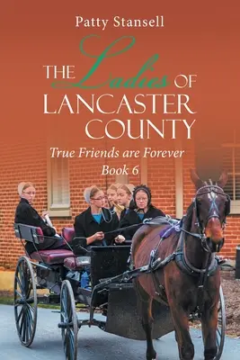 Panie z hrabstwa Lancaster: Prawdziwi przyjaciele są na zawsze: Księga 6 - The Ladies of Lancaster County: True Friends are Forever: Book 6