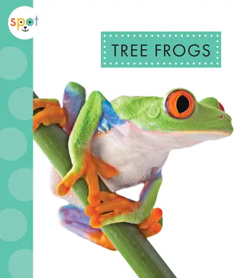 Żaby drzewne - Tree Frogs