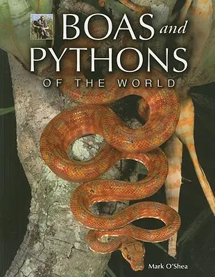 Boa i pytony świata - Boas and Pythons of the World