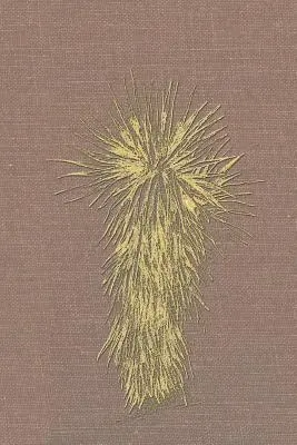 Marfa i hrabstwo Presidio w Teksasie: Studium społeczne, ekonomiczne i kulturowe w latach 1937-2008, tom drugi, 1990-2008 - Marfa and Presidio County, Texas: A Social, Economic, and Cultural Study 1937 to 2008 Volume Two, 1990-2008