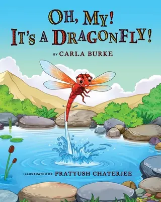 Ojej! To ważka! Opowieść o cyklu życia ważki - Oh my! It's A dragonfly!: A story on the life cycle of a dragonfly
