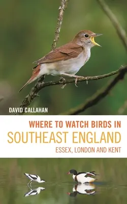 Gdzie obserwować ptaki w południowo-wschodniej Anglii: Essex, Londyn i Kent - Where to Watch Birds in Southeast England: Essex, London and Kent