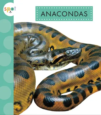 Anakondy - Anacondas