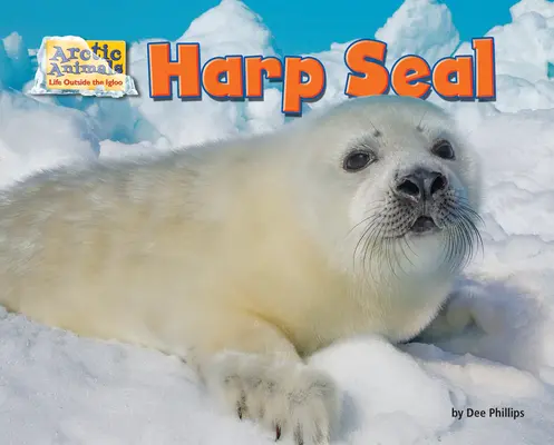 Foka harfowa - Harp Seal