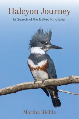 Halcyon Journey: W poszukiwaniu zimorodka pasiastego - Halcyon Journey: In Search of the Belted Kingfisher