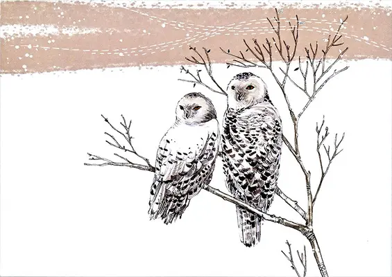 Kartki świąteczne Snowy Owls Deluxe w pudełku - Snowy Owls Deluxe Boxed Holiday Cards