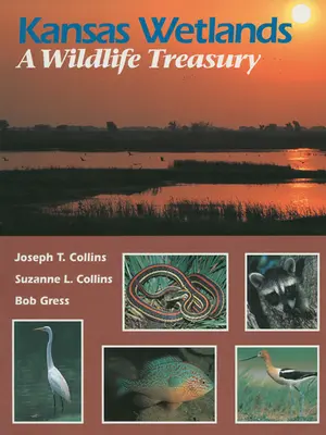 Kansas Wetlands: Skarb dzikiej przyrody - Kansas Wetlands: A Wildlife Treasury