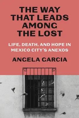 Droga, która prowadzi wśród zagubionych: Życie, śmierć i nadzieja w meksykańskich dzielnicach Anexos - The Way That Leads Among the Lost: Life, Death, and Hope in Mexico City's Anexos
