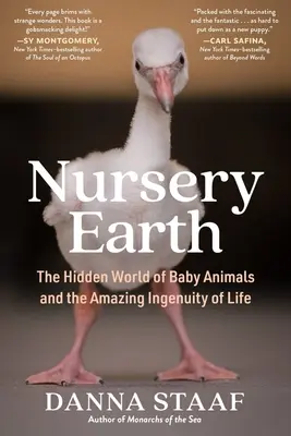 Nursery Earth: Ukryty świat małych zwierząt i niesamowita pomysłowość życia - Nursery Earth: The Hidden World of Baby Animals and the Amazing Ingenuity of Life