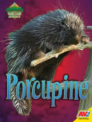 Jeżozwierz - Porcupine