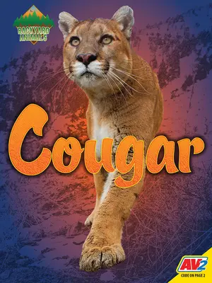 Puma - Cougar