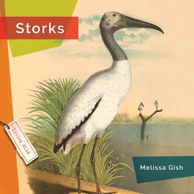 Bociany - Storks