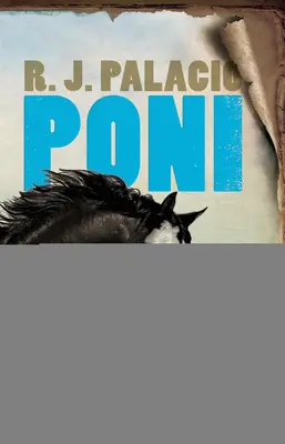 Poni / Kucyk - Poni / Pony