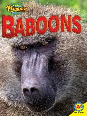 Pawiany - Baboons