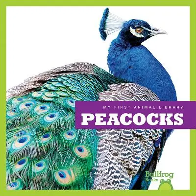 Pawie - Peacocks