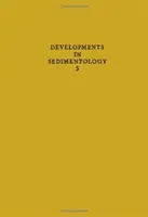 ruch piasku na plaży - movement of beach sand