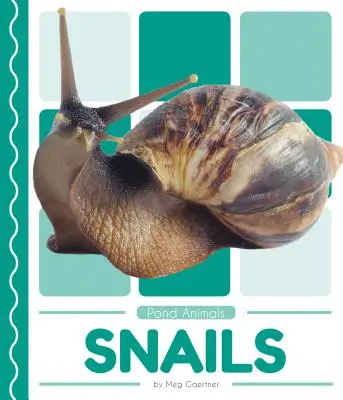 Ślimaki - Snails