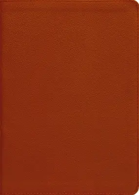 Esv, Biblia Thompsona z łańcuszkiem, skóra naturalna, skóra cielęca, opalenizna, czerwone litery - Esv, Thompson Chain-Reference Bible, Genuine Leather, Calfskin, Tan, Red Letter