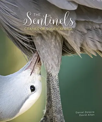 Strażnicy: Żurawie z Południowej Afryki - The Sentinels: Cranes of South Africa