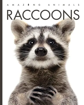 Szopy - Raccoons