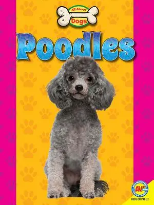 Pudle - Poodles