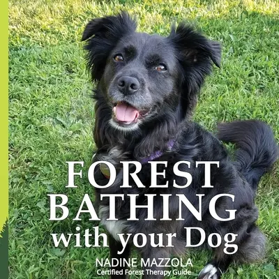 Leśne kąpiele z psem - Forest Bathing with your Dog