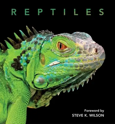 Gady - Reptiles