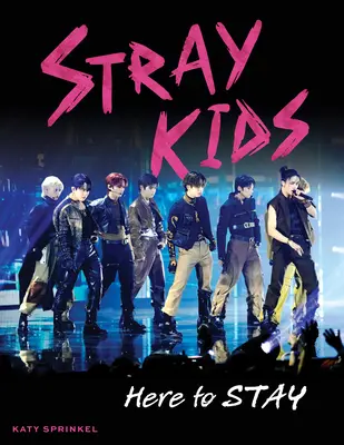 Stray Kids: Here to Stay