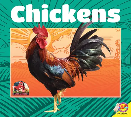 Kurczaki - Chickens