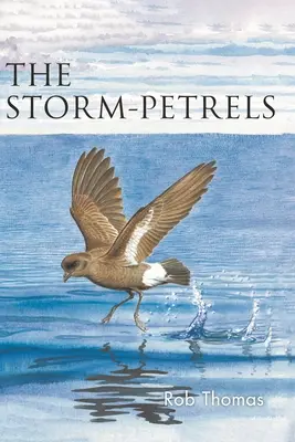 Papugi burzowe - Storm-Petrels