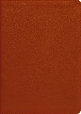 Esv, Thompson Chain-Reference Bible, skóra naturalna, skóra cielęca, opalenizna, czerwone litery, indeksowane kciukiem - Esv, Thompson Chain-Reference Bible, Genuine Leather, Calfskin, Tan, Red Letter, Thumb Indexed