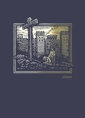 Net Abide Bible Journal - John, Paperback, Comfort Print: Pismo Święte - Net Abide Bible Journal - John, Paperback, Comfort Print: Holy Bible