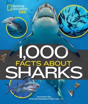 1000 faktów o rekinach - 1,000 Facts about Sharks