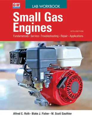 Małe silniki gazowe - Small Gas Engines