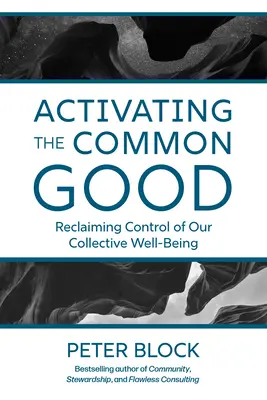 Aktywacja wspólnego dobra: Odzyskanie kontroli nad naszym zbiorowym dobrobytem - Activating the Common Good: Reclaiming Control of Our Collective Well-Being