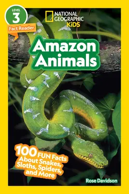 National Geographic Readers: Zwierzęta Amazonii (L3): 100 zabawnych faktów o wężach, leniwcach, pająkach i nie tylko - National Geographic Readers: Amazon Animals (L3): 100 Fun Facts about Snakes, Sloths, Spiders, and More